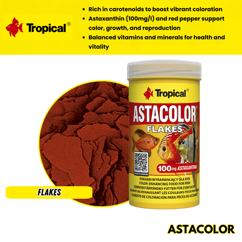 Astacolor