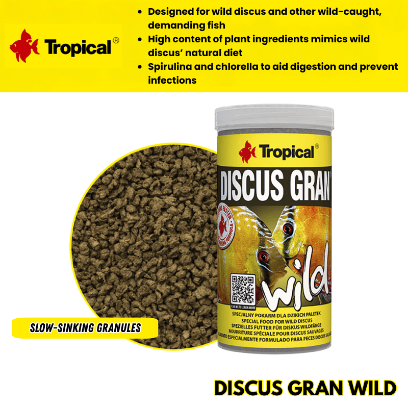 DiscusGranWild
