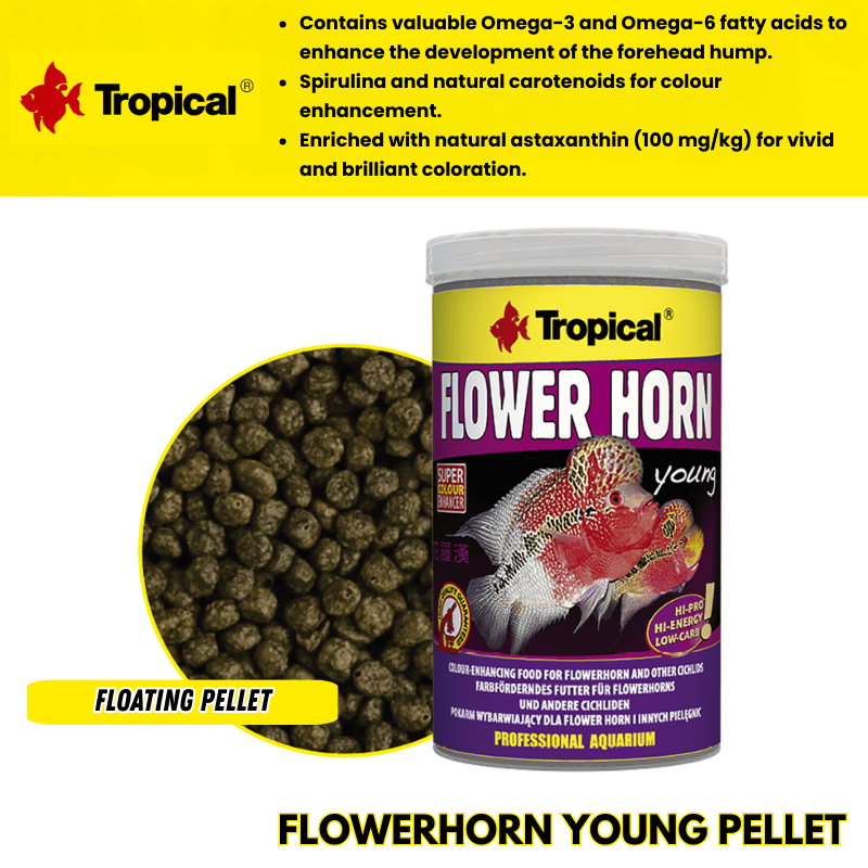 FlowerHornYoungPellet