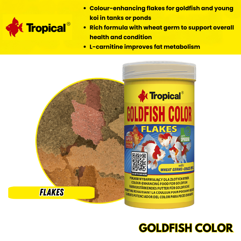 GoldfishColor