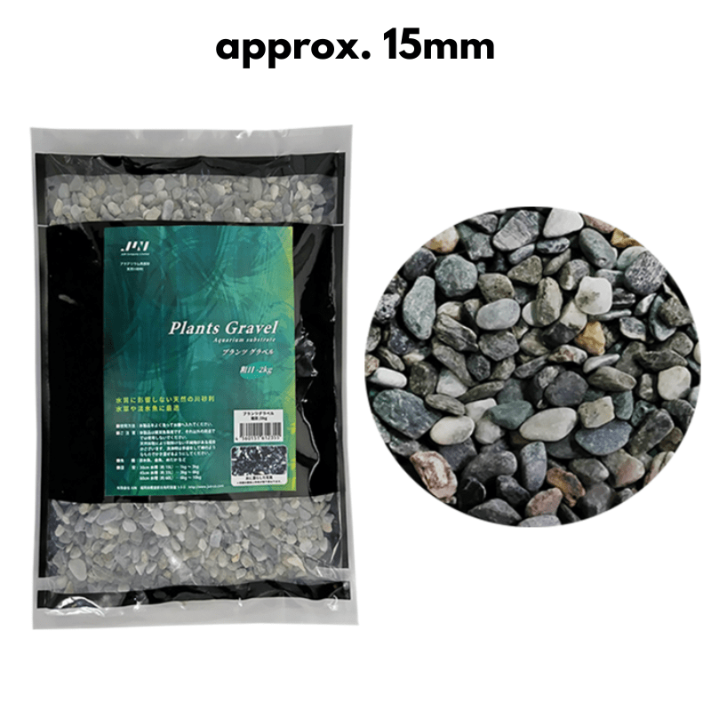 JUNPlantGravel_L_adef8343-692a-4518-a73b-85f6f916d4c4