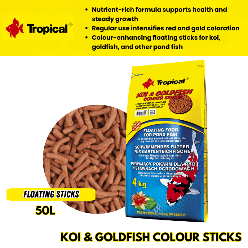 Koi_GoldfishColourSticks