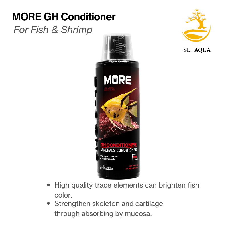 MOREGHConditioner_2