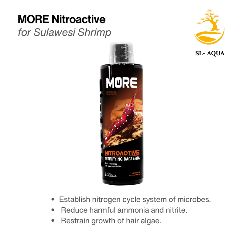 MORENitroactive_2_09638c64-64fc-4435-aa7f-1038c3366659