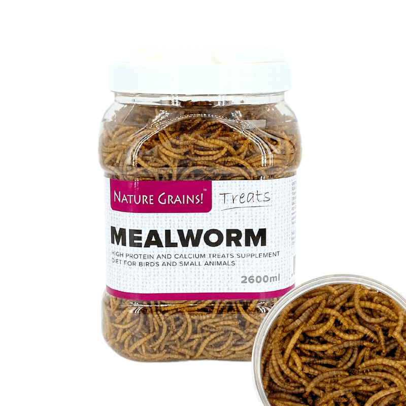 NatureGrains__3_db94b902-5d0b-4f5a-bedd-4486c3cddeaf