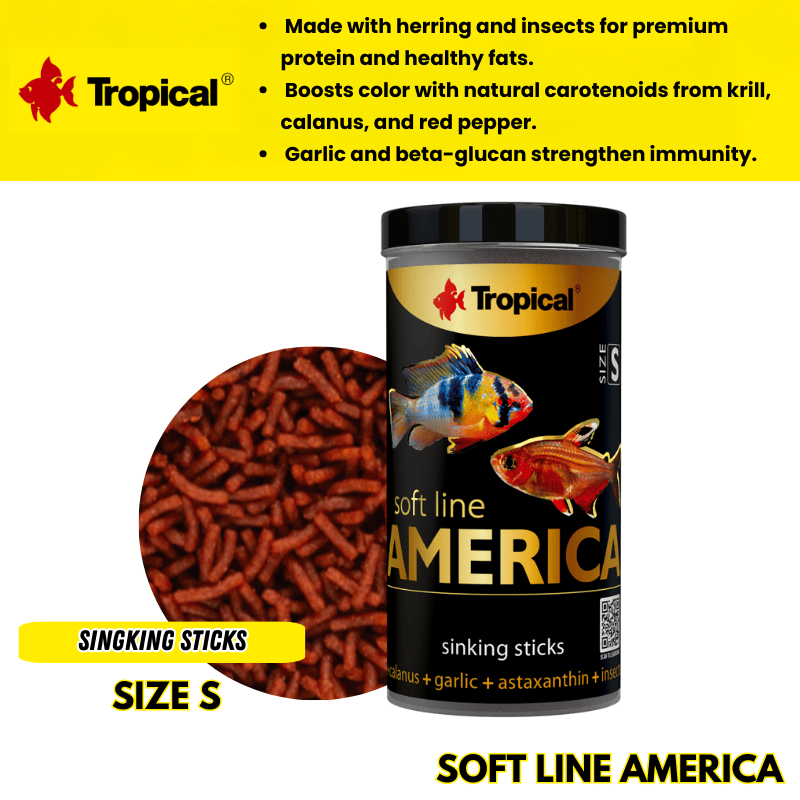 SoftLineAmerica