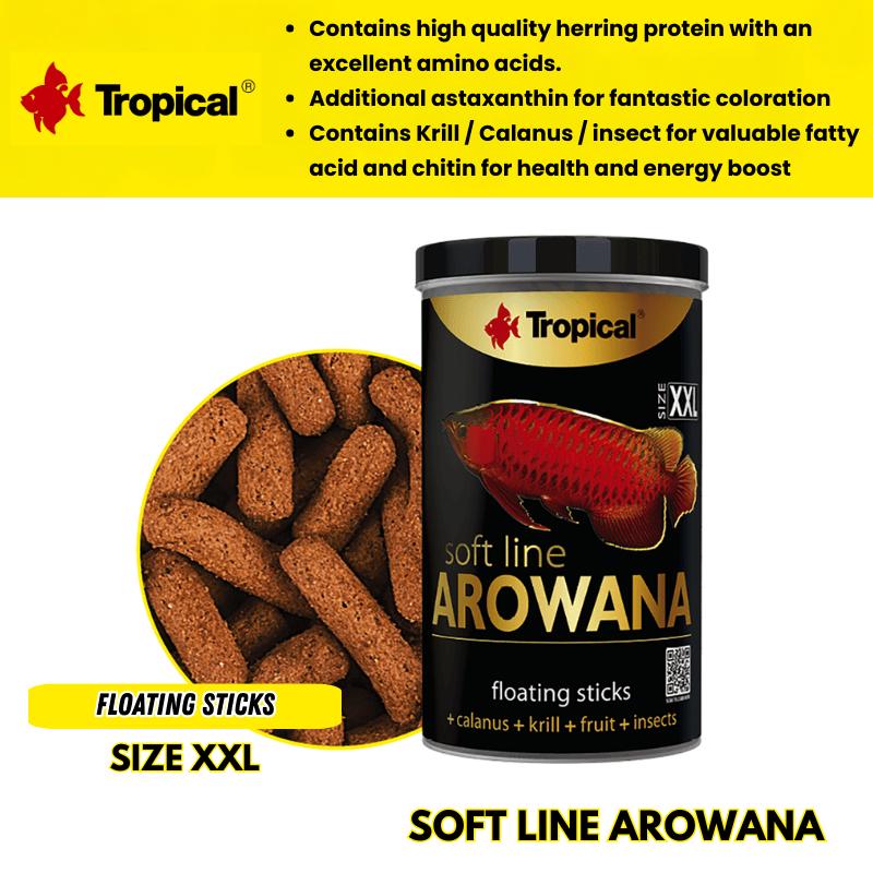 SoftLineArowana_2_4ba24c32-0b28-491c-8f2d-6fdbebb89f2c