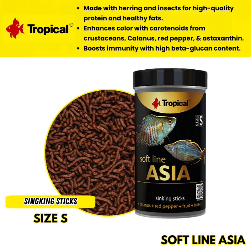 SoftLineAsia
