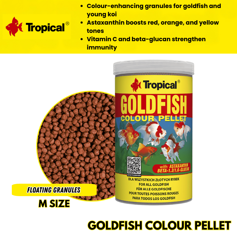 TropicalGoldfishColourPellet_3f4f38fa-161c-456c-b499-a1f7d0612e27