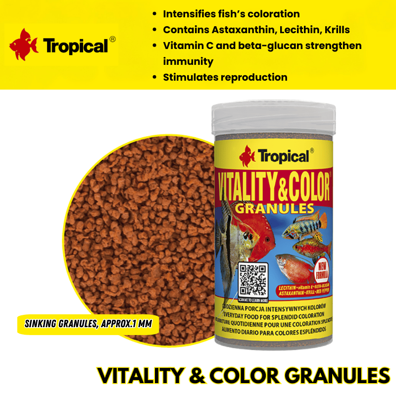 TropicalVitality_ColorGranules_2744a472-f534-4abe-88bf-66528dc0f7ab