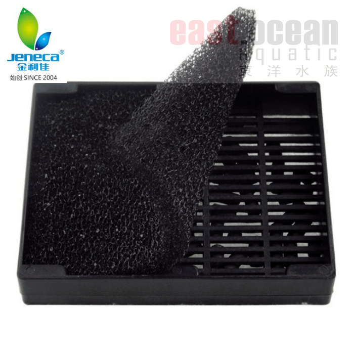 Untitleddesign_04bca84d-844b-4e0d-89f4-09f5895be7be
