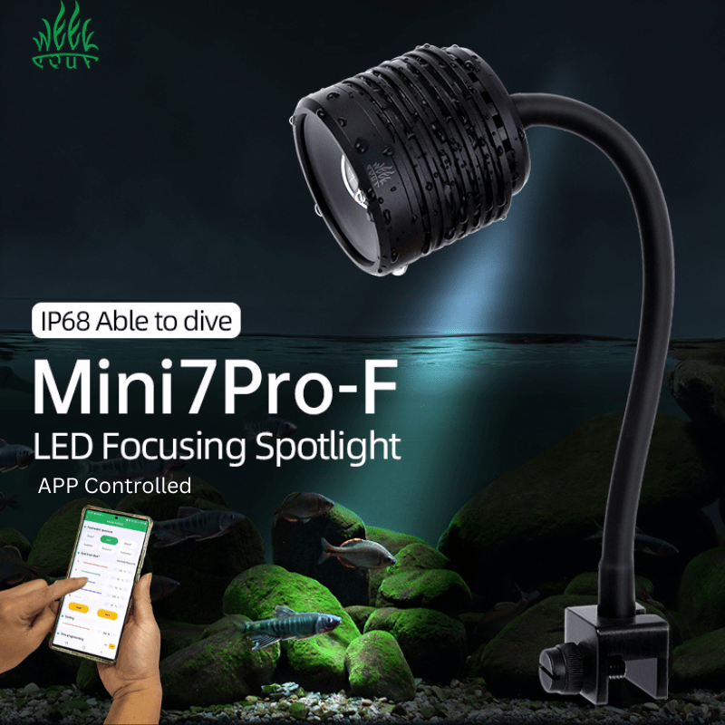 WeekAquaMini7Pro-FFocusSpotlight