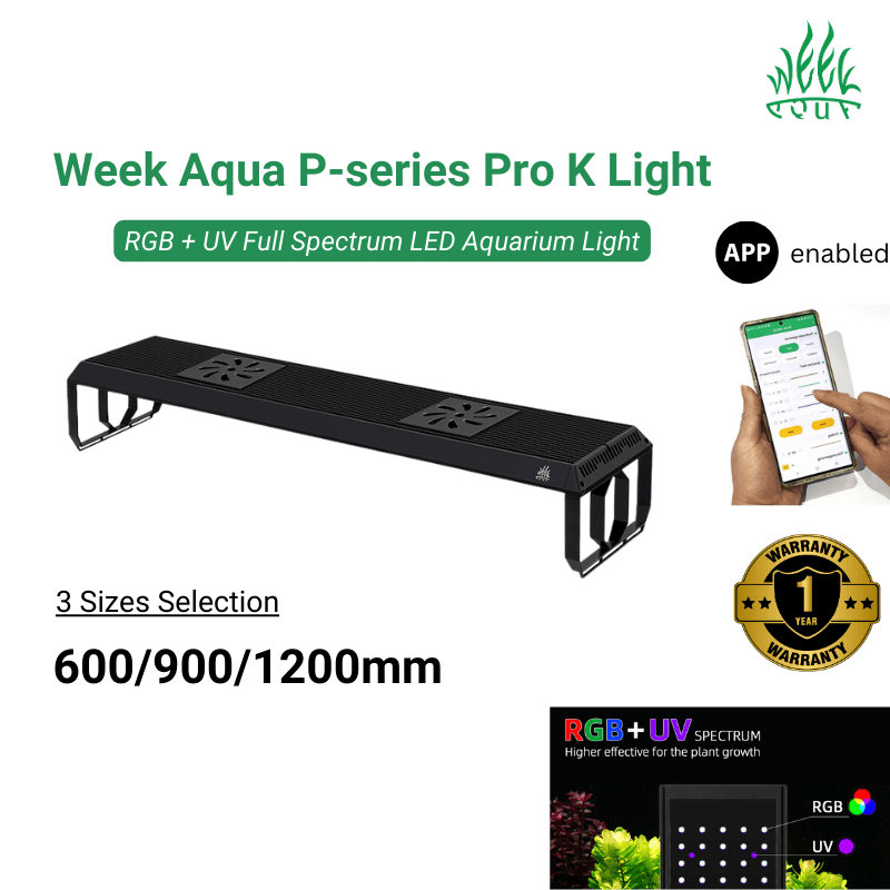 WeekAquaP-seriesProKLight