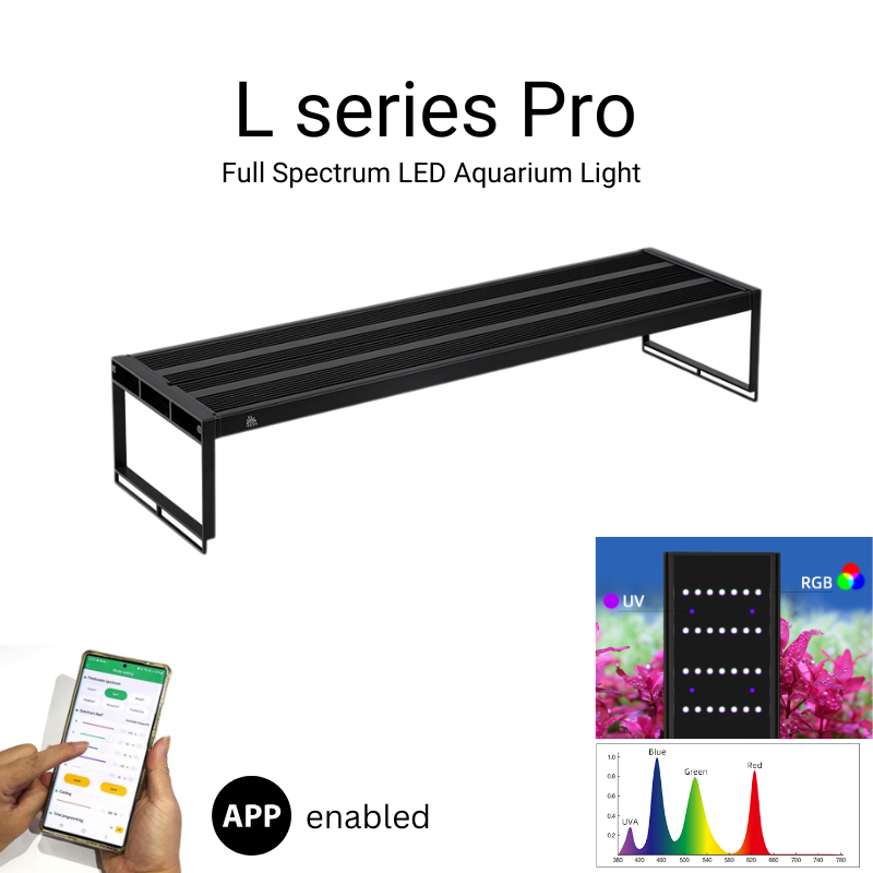 Week_aqua_L-series_Pro_K_Light