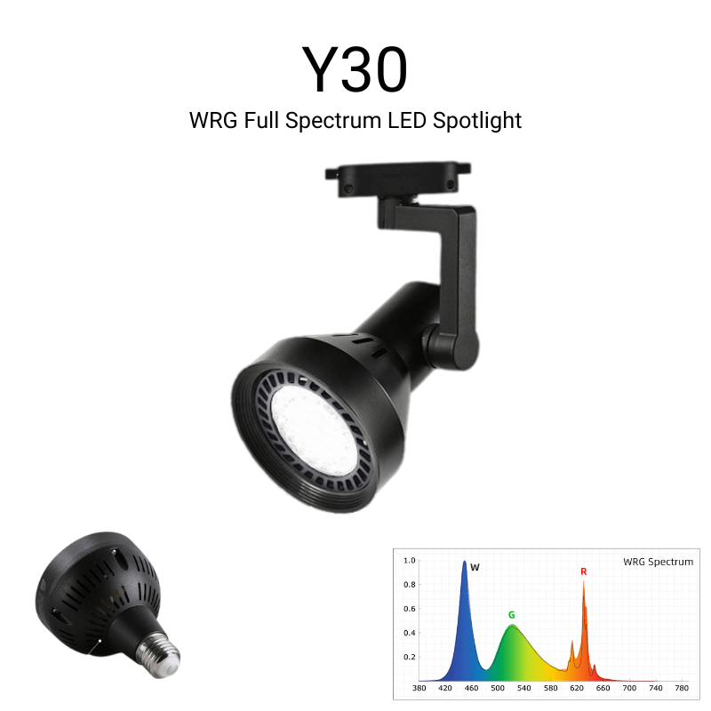 WeekaquaY30LEDSpotlightBlack