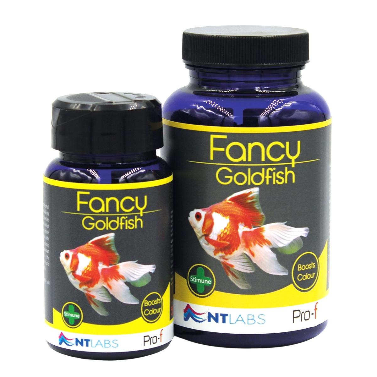 ntlabsfancygoldfish