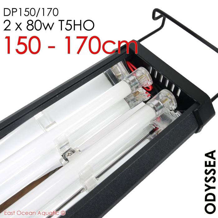 odyssea-dp150170_1
