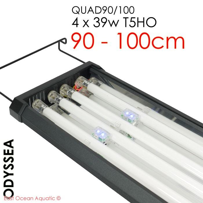 odyssea-quad90100_1